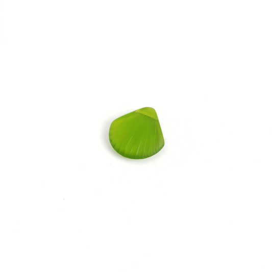 Clam Shell 28x30mm