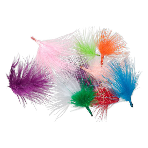 Turkey Feather