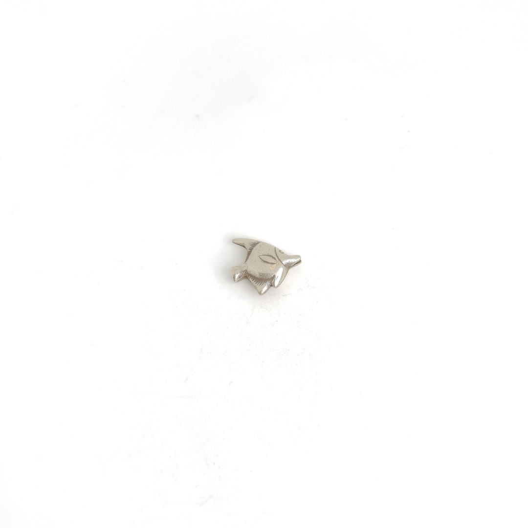 Angelfish 16mm