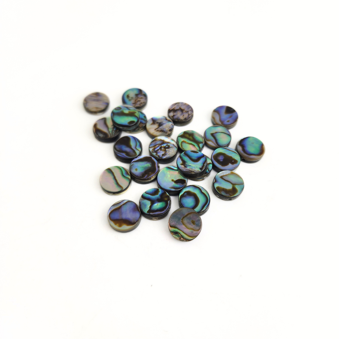 Abalone Coin 10mm