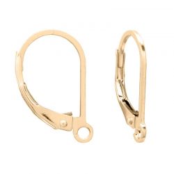 Gold Filled Lever Back w/Ring