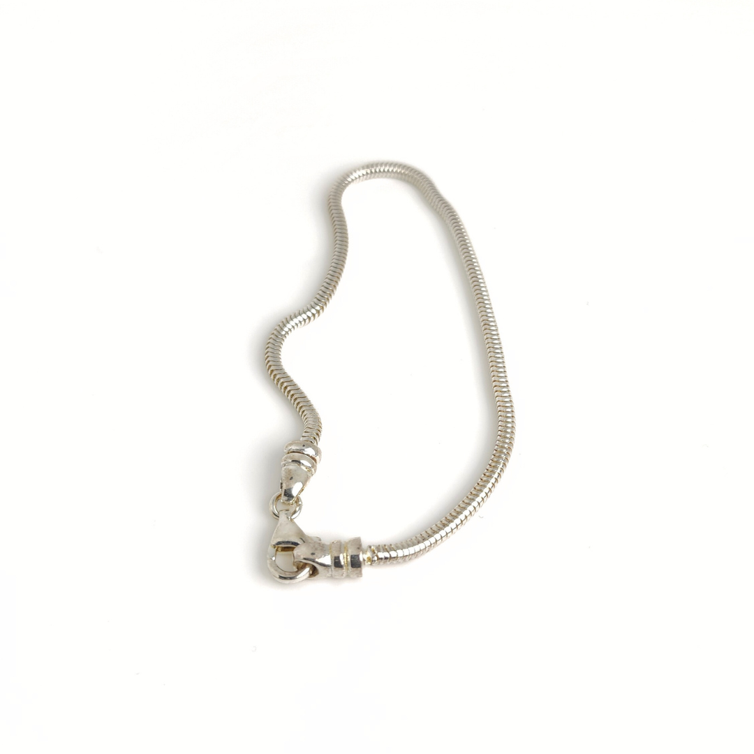 Snake Chain Bracelet