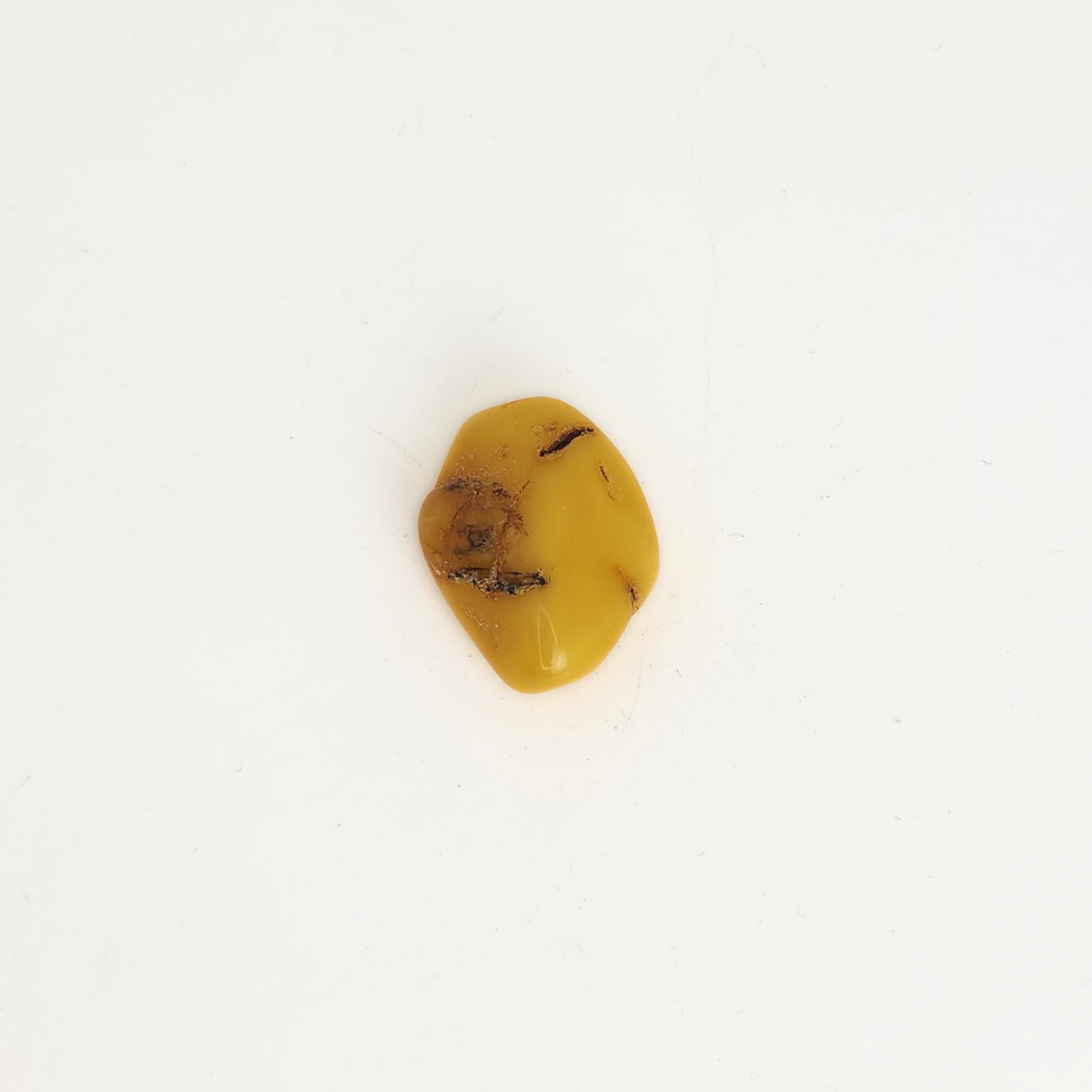 Amber Polished
