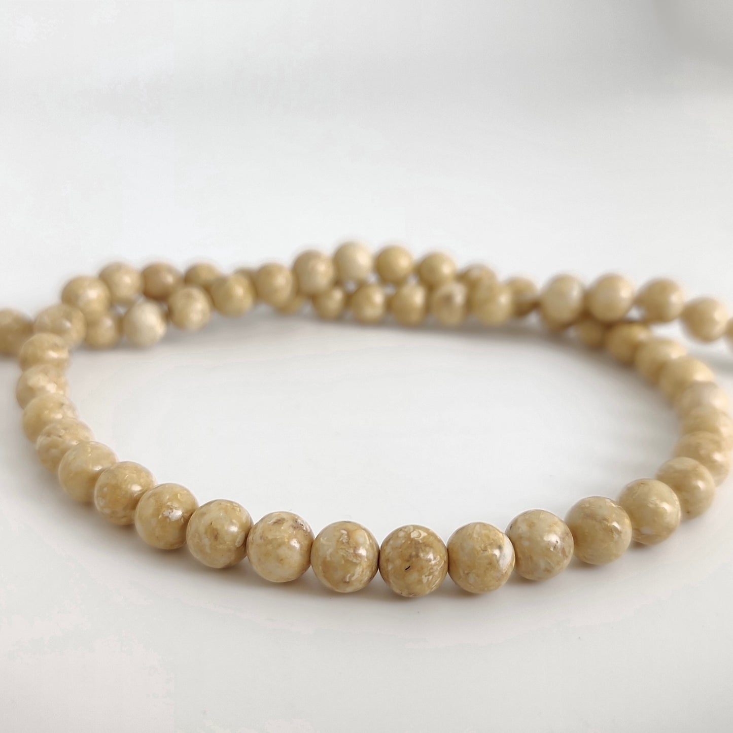 Fossil Stone Round 6mm