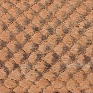 Suede Fish Leather 9x2.5"