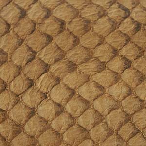 Suede Fish Leather 9x2.5"