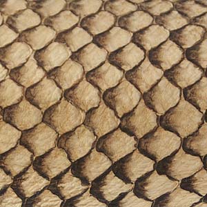 Suede Fish Leather 9x2.5"