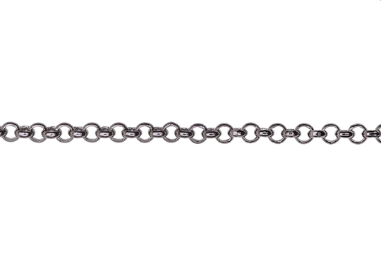 Delicate Rolo Chain 2mm