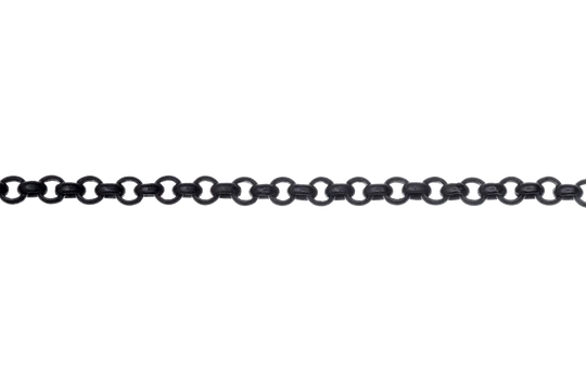 Delicate Rolo Chain 2mm