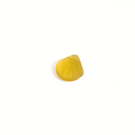 Clam Shell 28x30mm