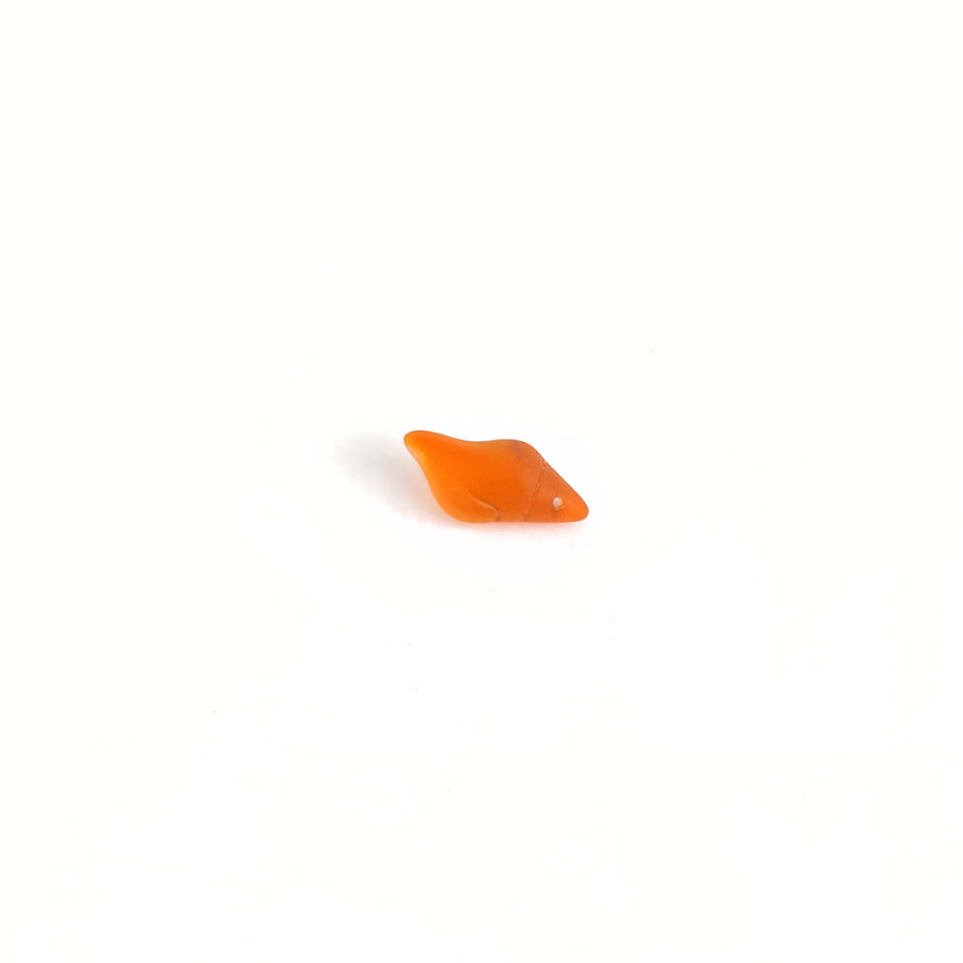 Conch Shell 26x12mm