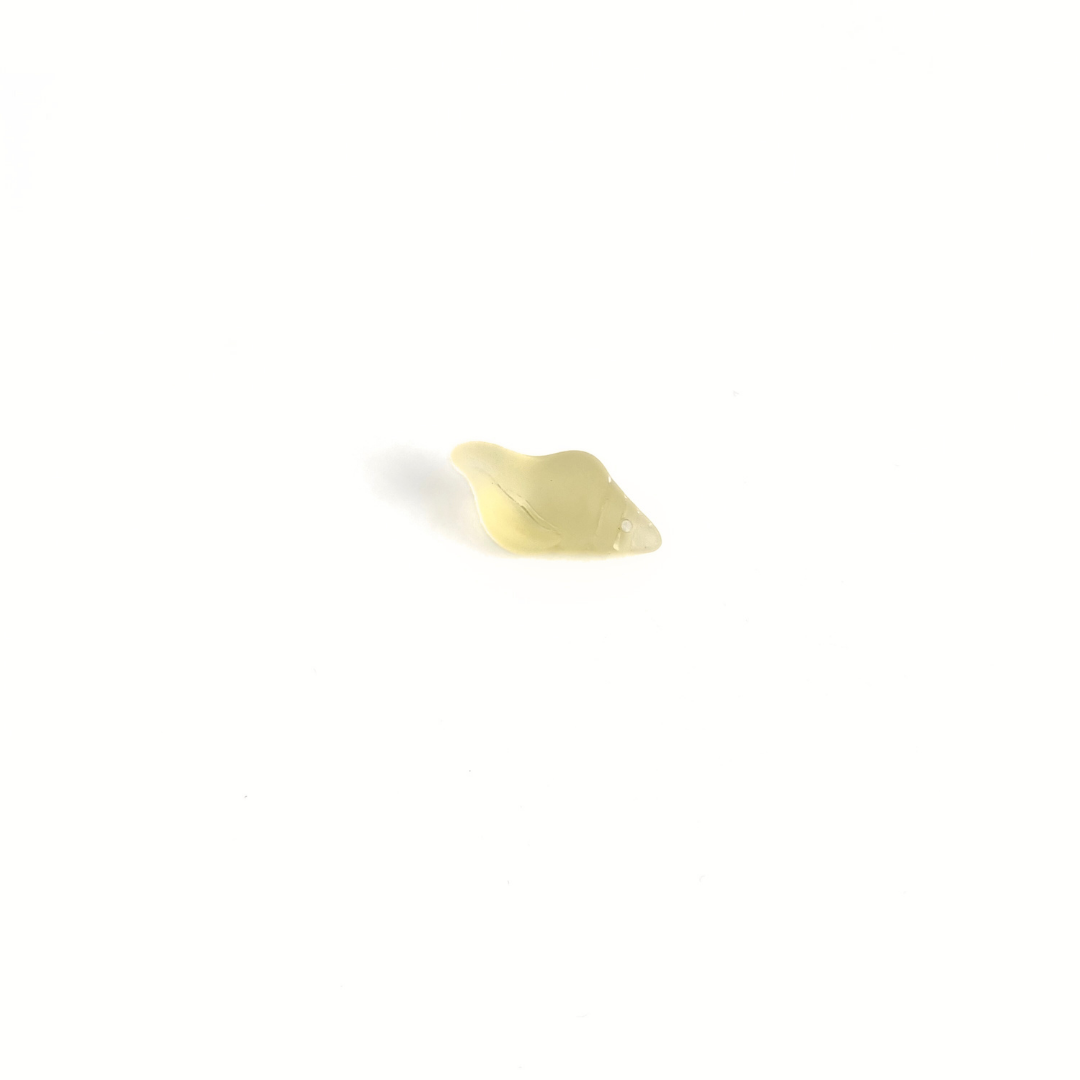 Conch Shell 26x12mm