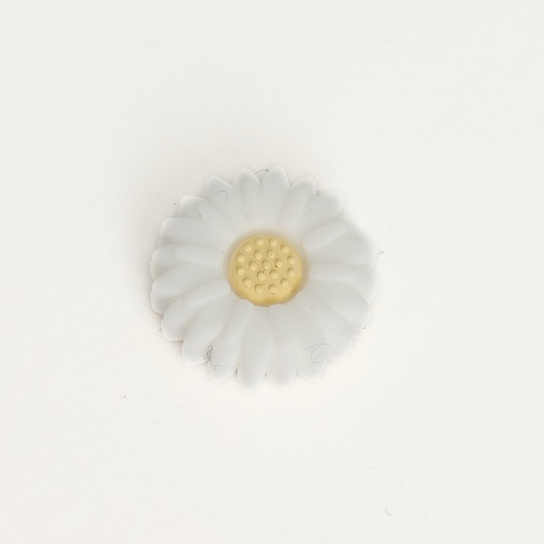 Daisy Focal
