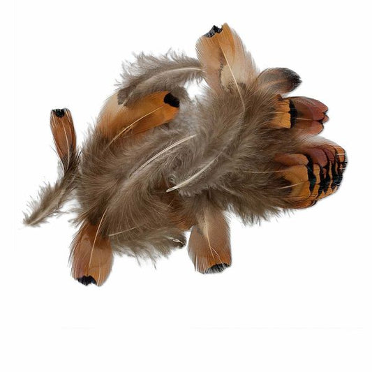 Natural Pheasant Feather