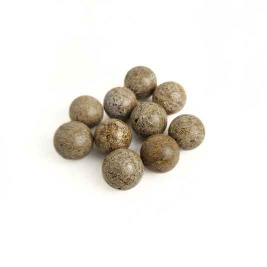 Dinosaur Bone Round 16mm