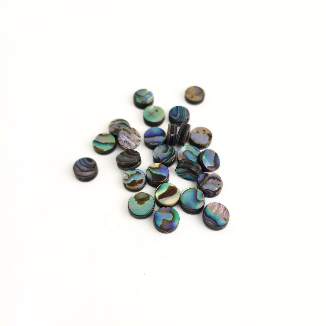 Abalone Coin 8mm