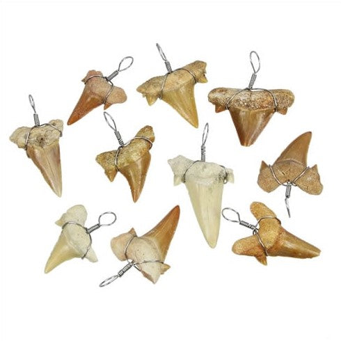 Shark Teeth Wire Wrap'd