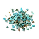 Turquoise Chips