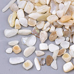 Freshwater Shell Chips