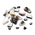 Black Lip Shell Chips Natural