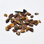 Tiger Eye Chips