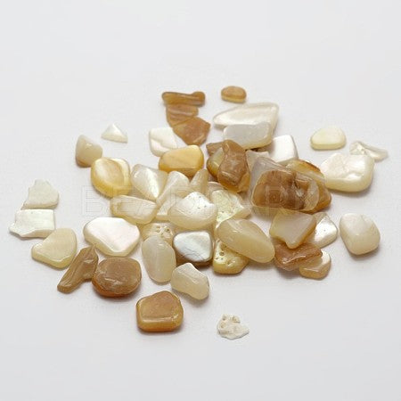 Mother of Pearl Chips Natural