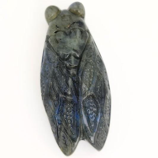 Blue Labradorite Carved Cicada Pendant 23x50mm