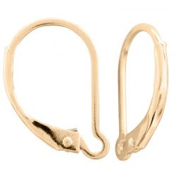 Gold Filled Lever Back Interchangable