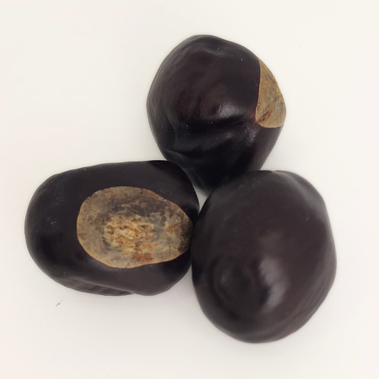 Buckeye