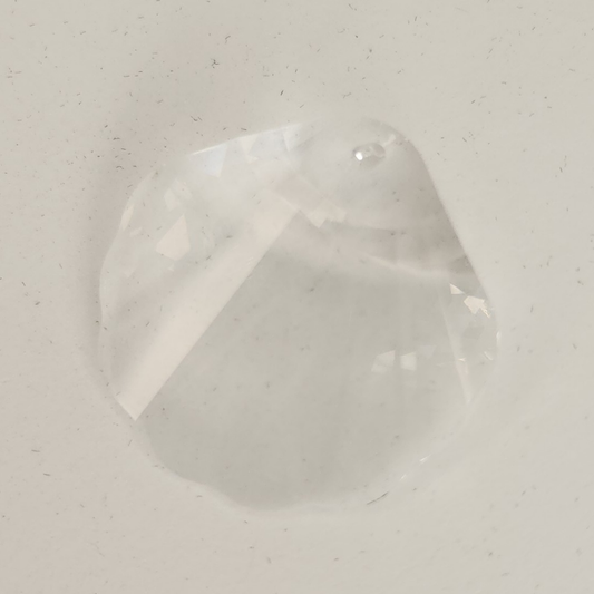 Seashell 28mm