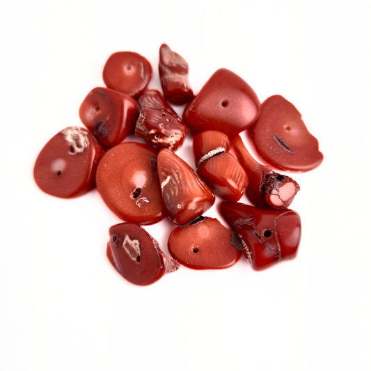 Assorted Coral Pieces