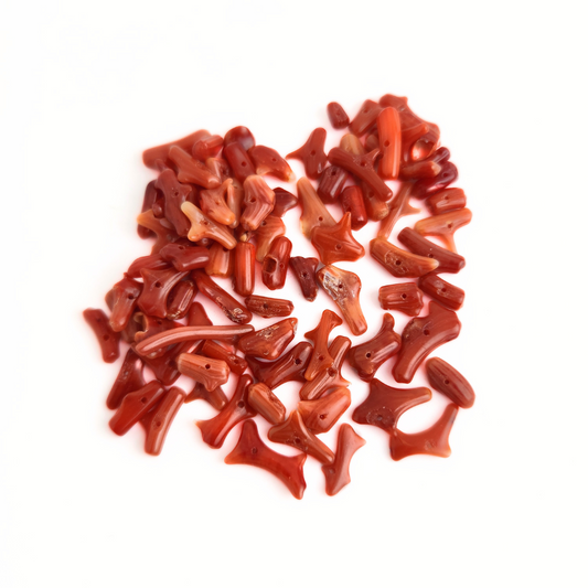 Small Coral