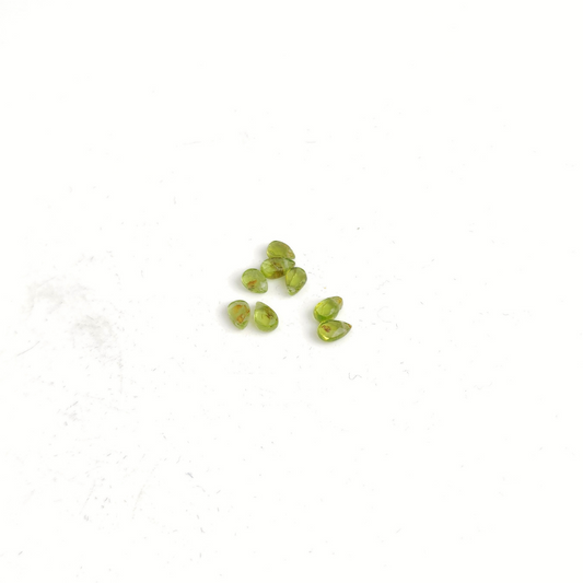 Peridot Faceted Brio