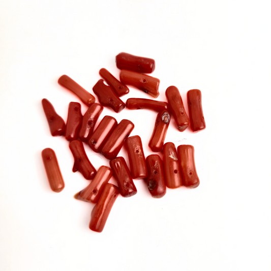 Medium Coral