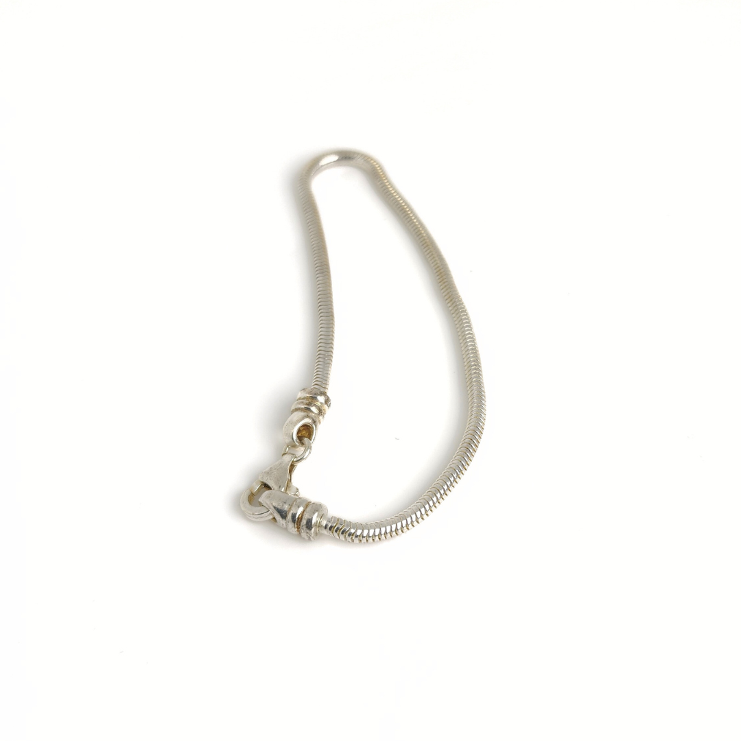Snake Chain Bracelet
