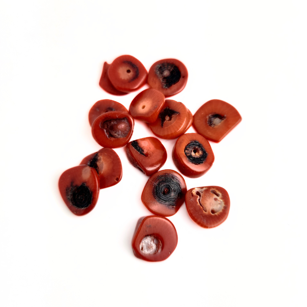 Coral Disks