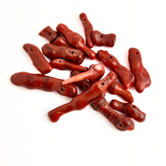 Red Sponge Coral