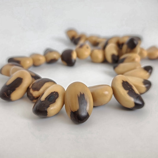 Edjok Nut Seeds 13mm