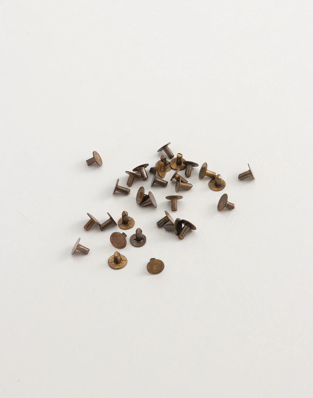 Nail Head Rivet