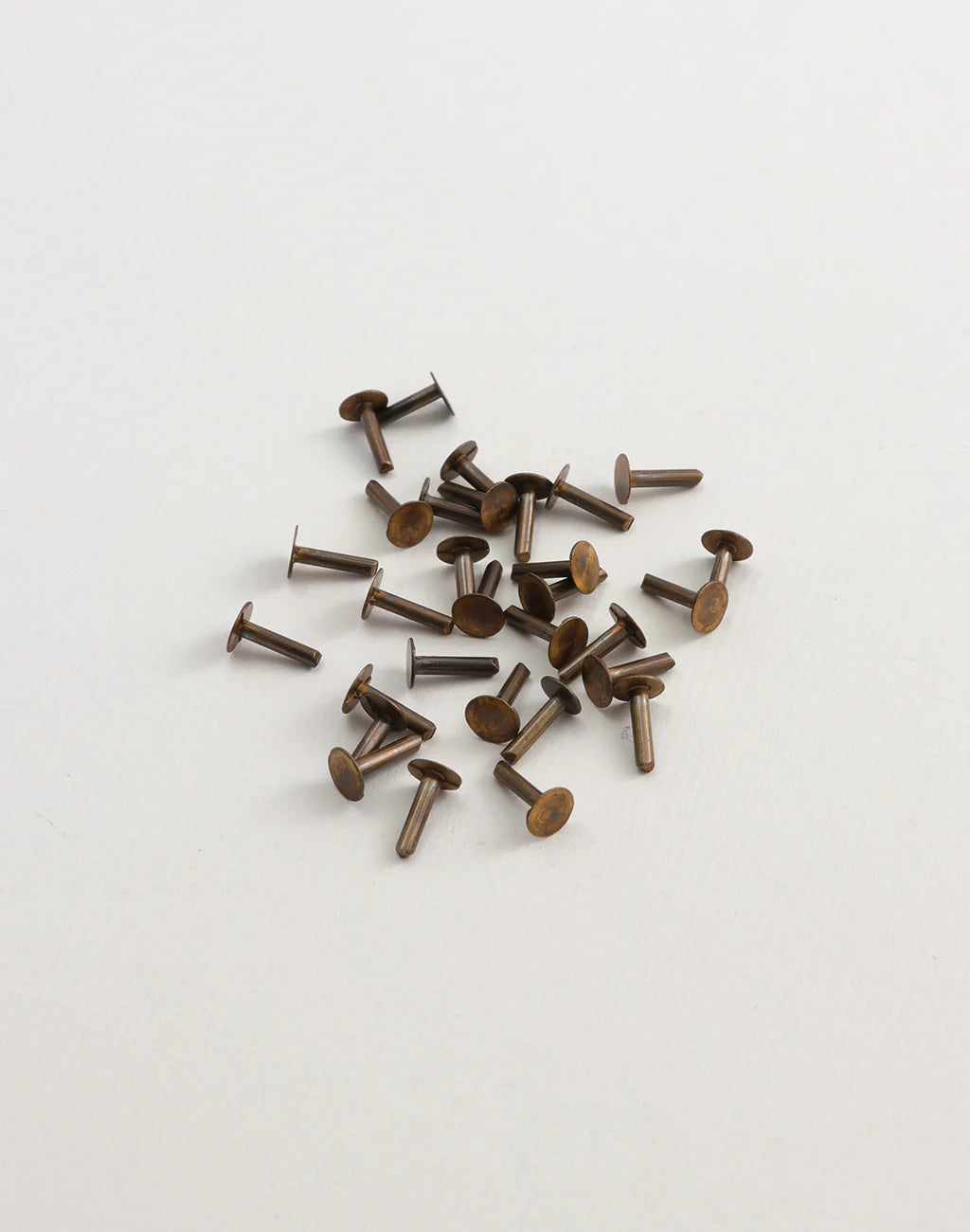 Nail Head Rivet