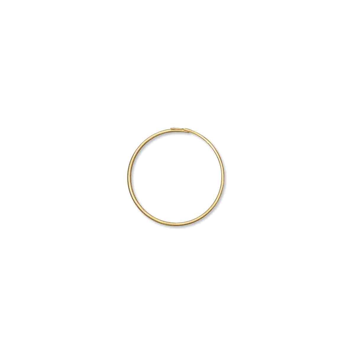 Endless Hoop 1"