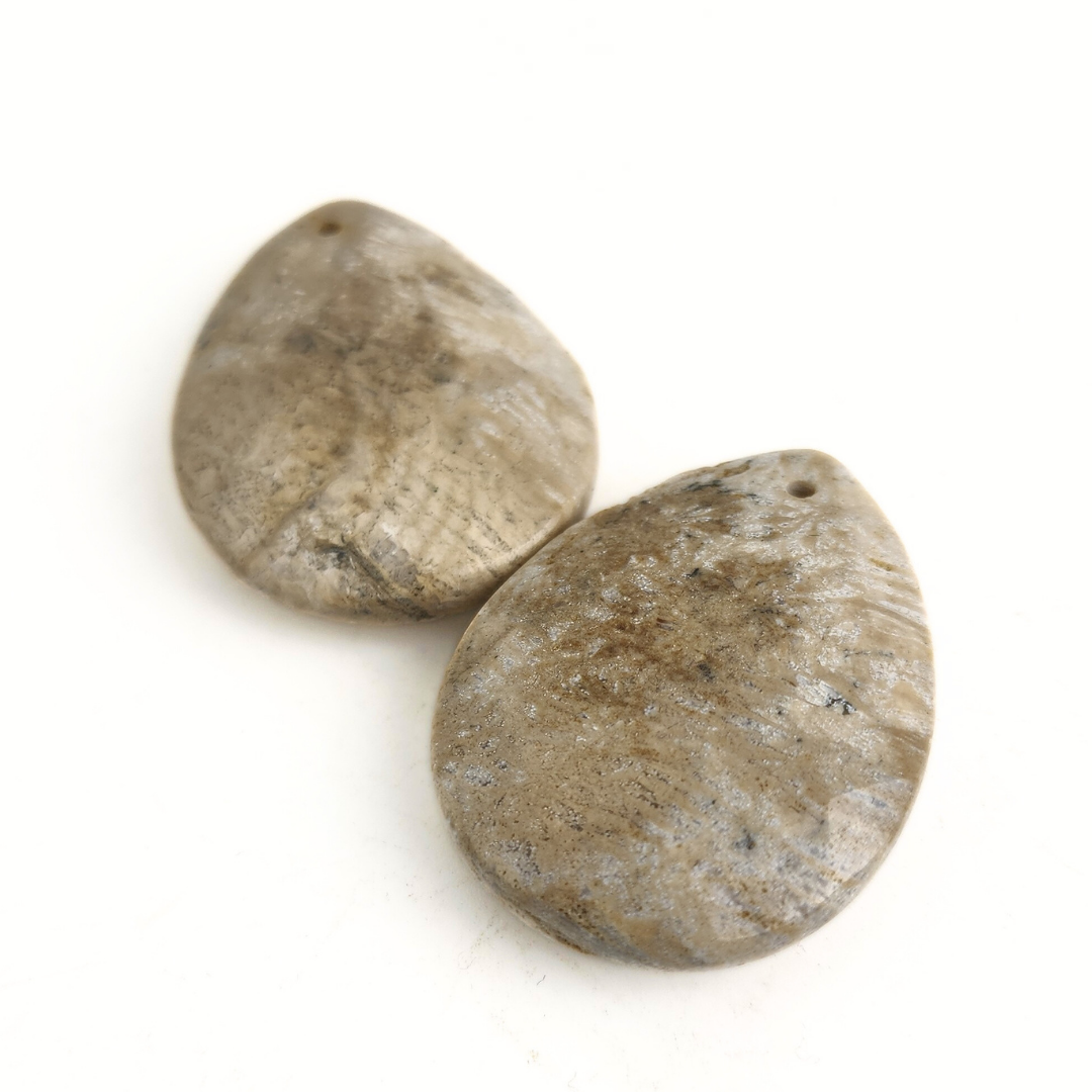 Fossil Coral Faceted Flat Brio
