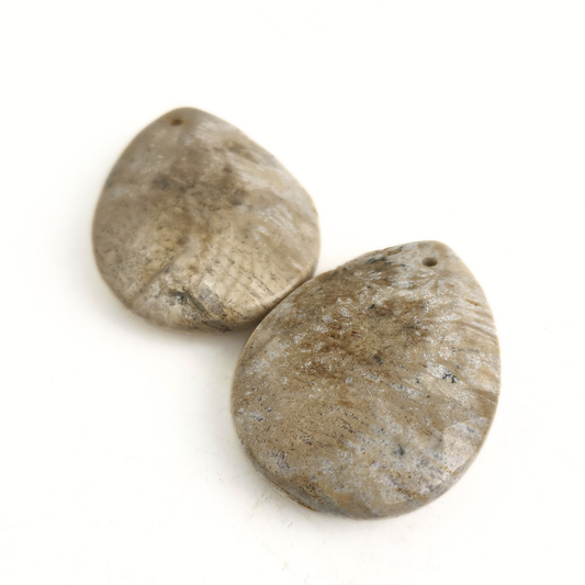 Fossil Coral Faceted Flat Brio