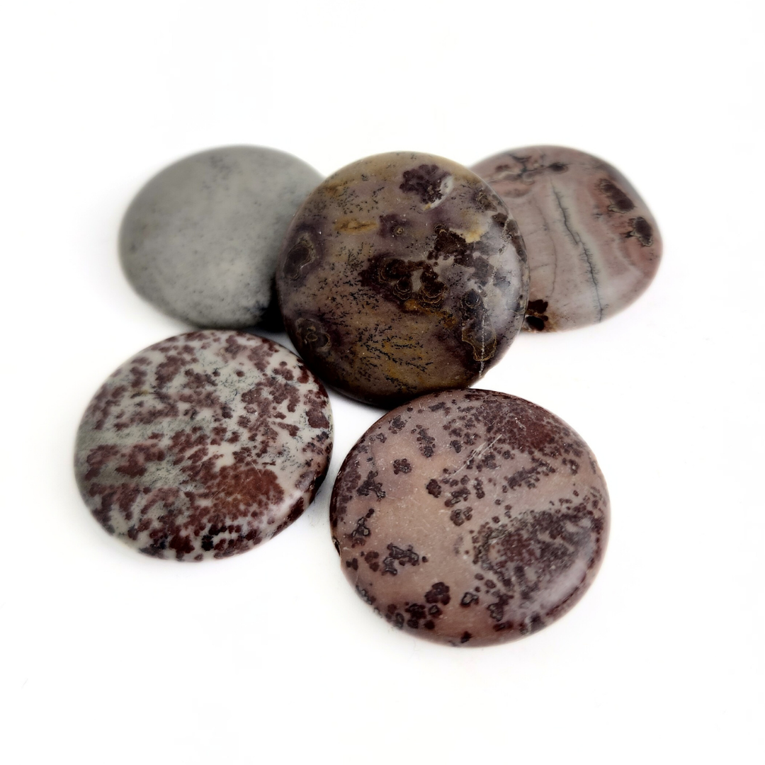 Leopard Skin Jasper Disk 25mm