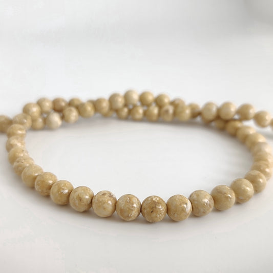 Fossil Stone Round 6mm