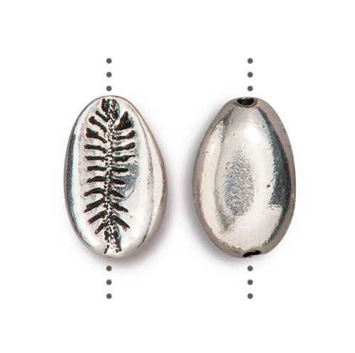 Cowrie Shell 15mm
